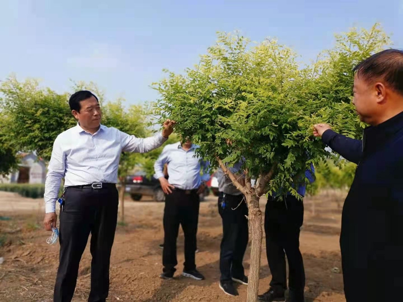 首页 综合要闻 部门动态 林业局5月12日下午, 我局党组书记,局长