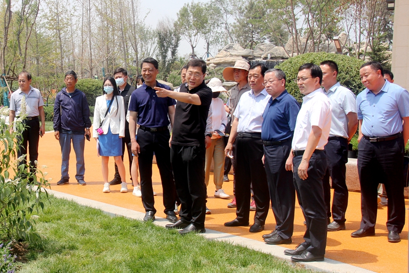 6月21日,市政府副市长姜阳赴雄安郊野公园石家庄林和石家庄展园建设