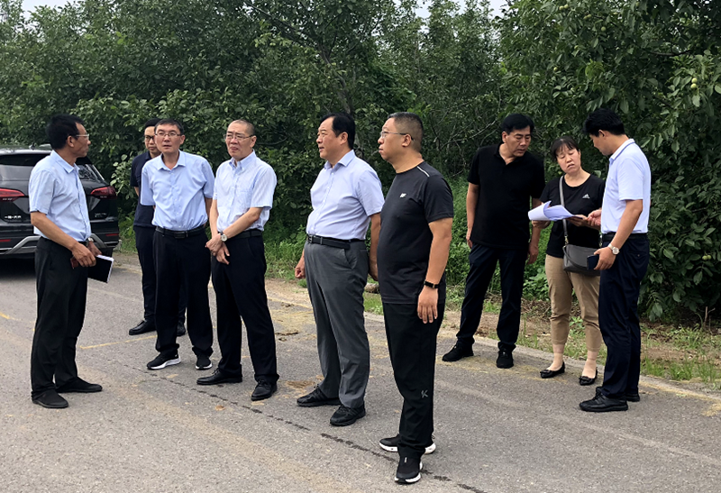 董志明书记一行赴鹿泉区调研林业产业发展-林业局-石家庄市人民政府